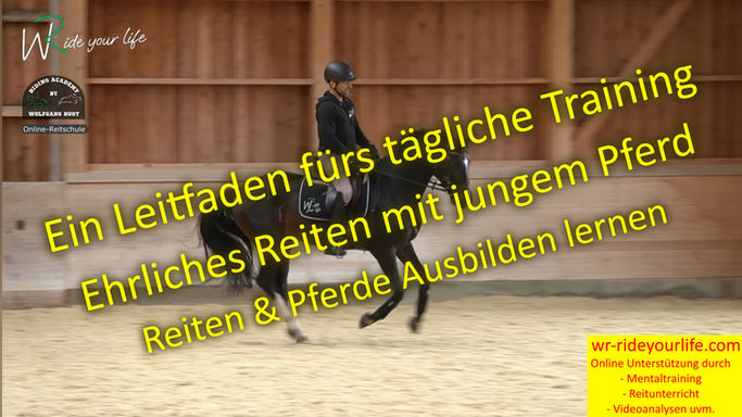 F196 Phoebe 2 Der Leitfaden für Reiter. Ehrliches & faires Reiten junger Pferde. Aufbau für Reitanfänger bis Fortgeschrittene Reiter.